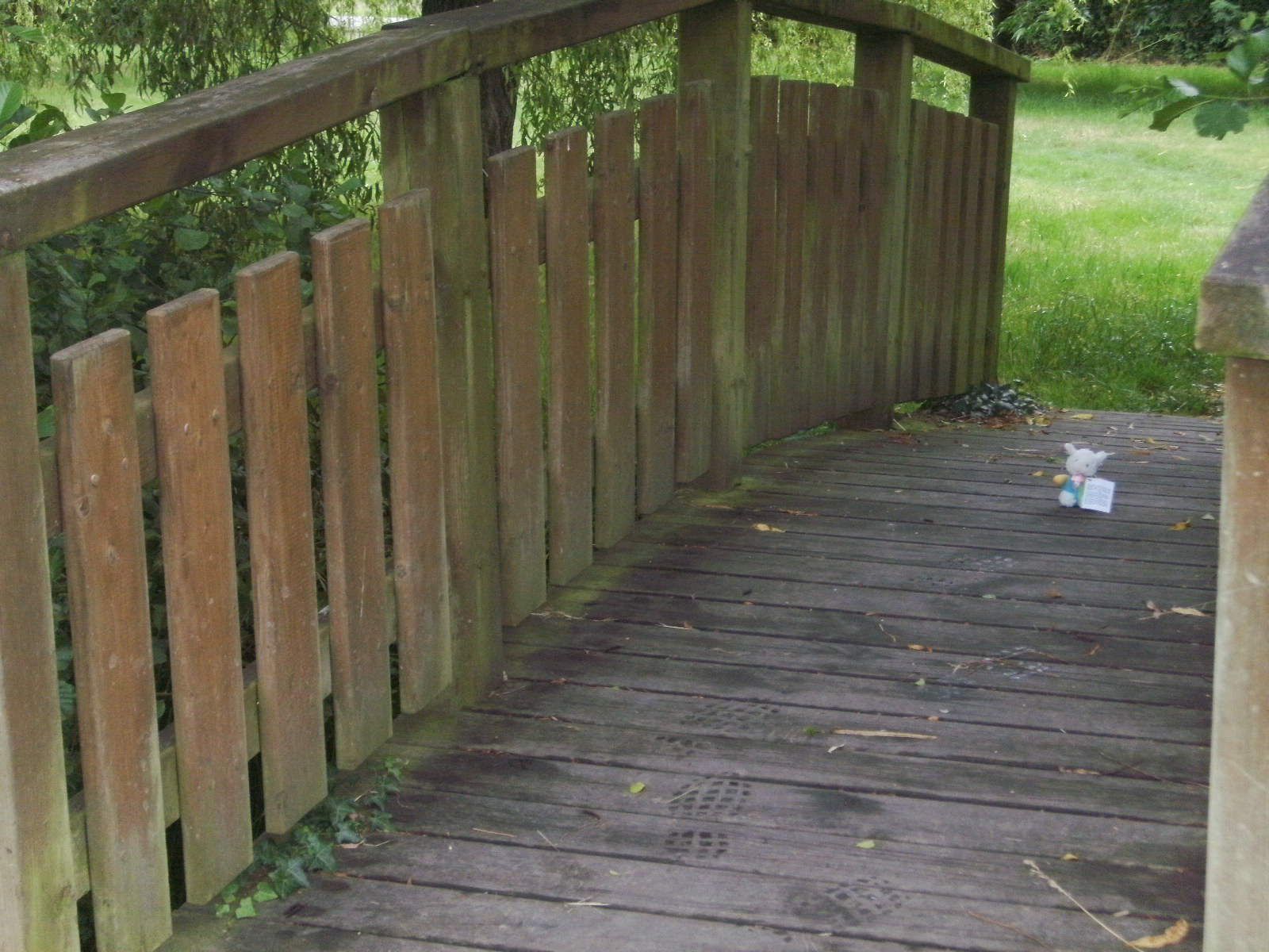 Petit pont... de bois!!